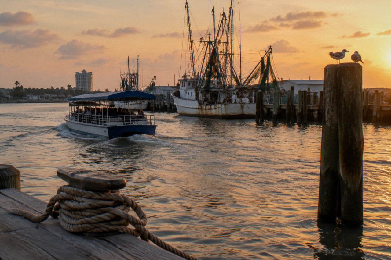 A covered tour boat cruising past shrimp boats and dock pilings in a Galveston harbor at golden hour