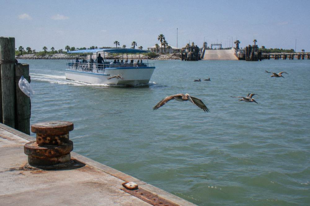 A covered tour boat moving through a wide harbor channel with pelicans gliding overhead