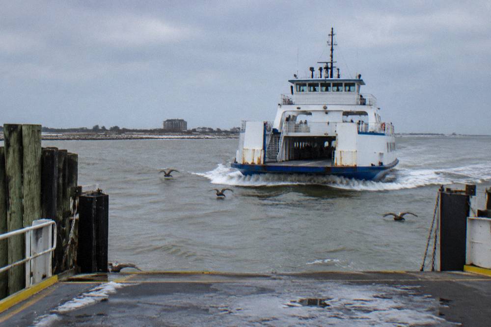 A ferry crossing a gray winter channel with pelicans gliding alongside the bow