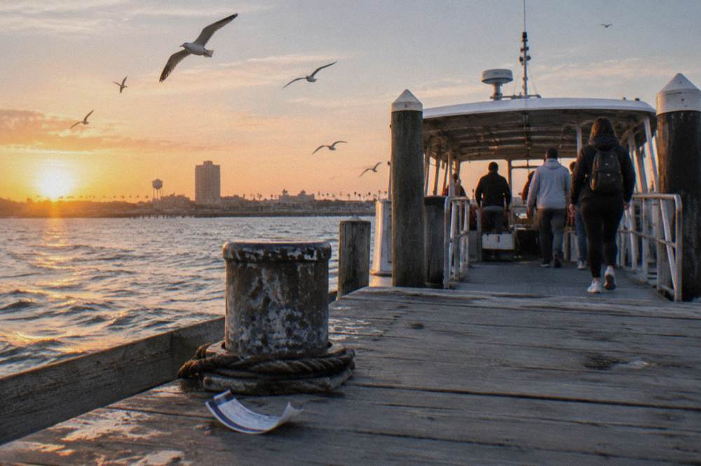 Passengers boarding a covered dolphin watching boat at a Galveston pier while gulls circle overhead