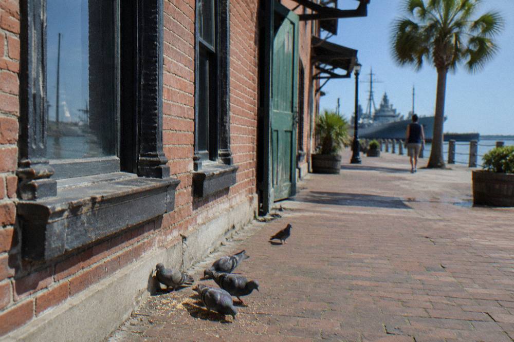 Historic brick storefronts along a downtown Galveston street under a clear sky