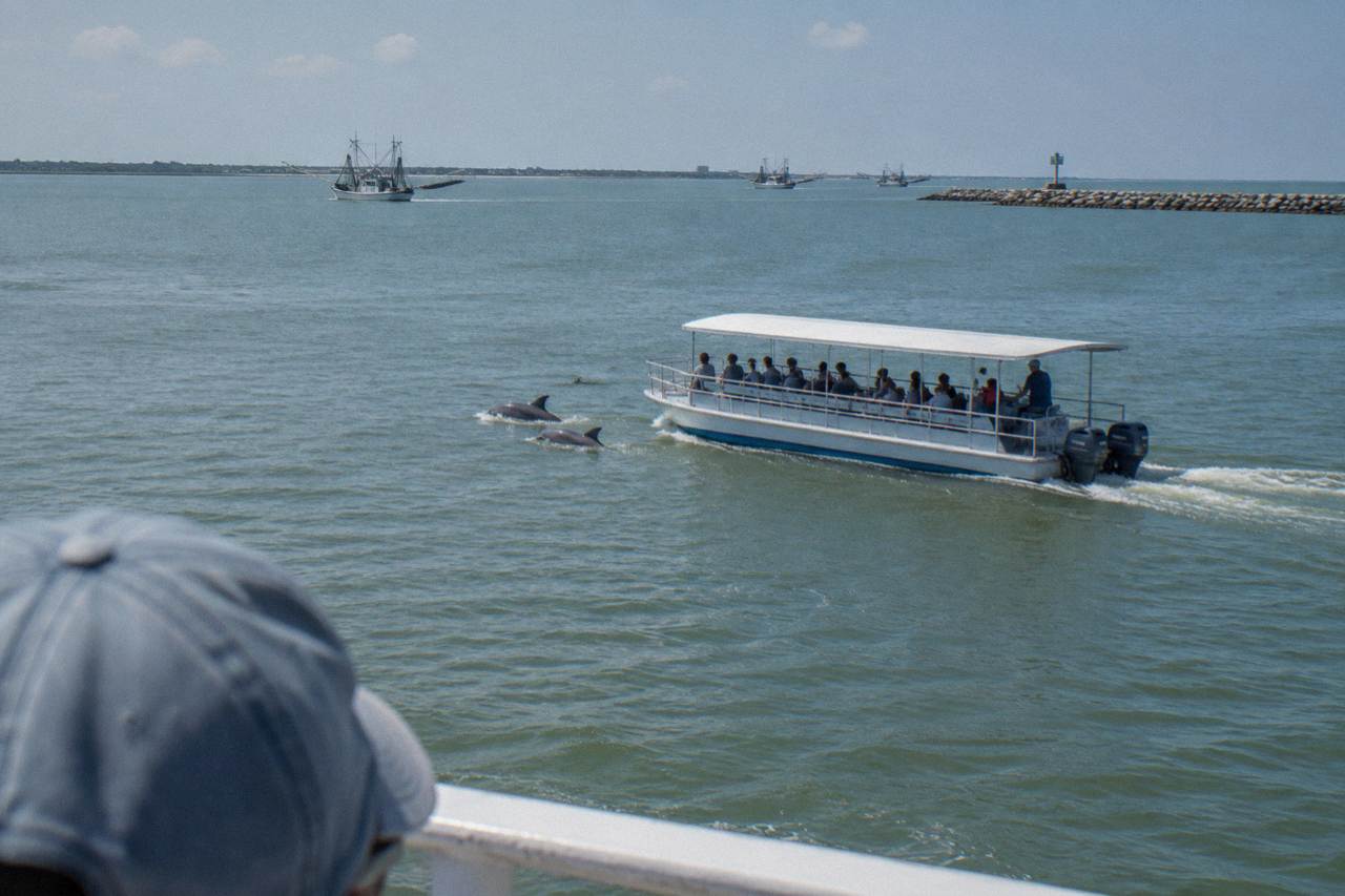 A covered tour boat moving across a calm Galveston harbor channel with dolphins surfacing near the bow