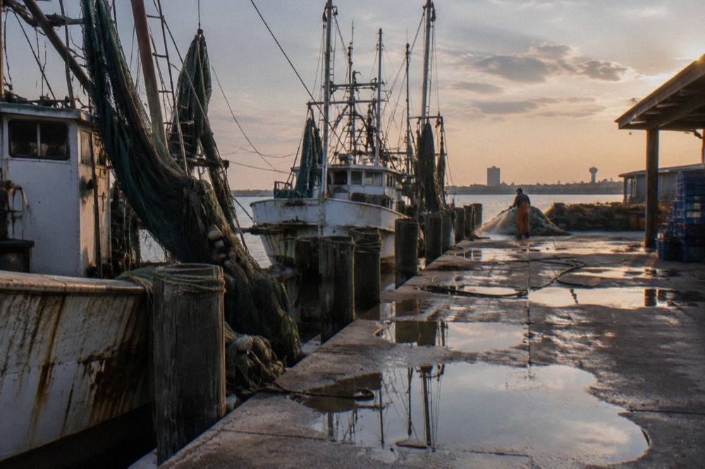 A tour boat passing moored shrimp boats along a working Galveston harbor waterfront