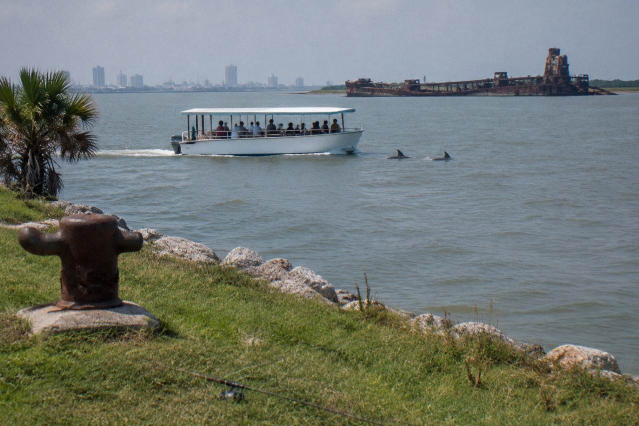 A covered tour boat crossing a calm Galveston harbor channel with dolphins surfacing nearby