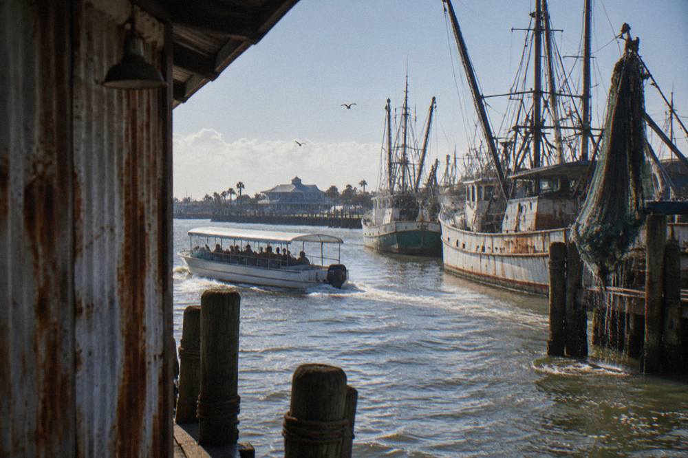 A covered dolphin watching boat moving past docked vessels in Galveston Harbor