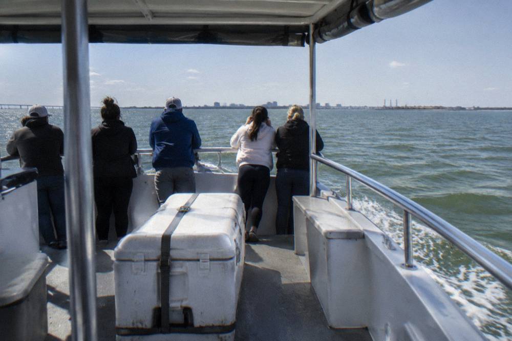 Dolphin tour passengers at a rail watching water in Galveston Harbor