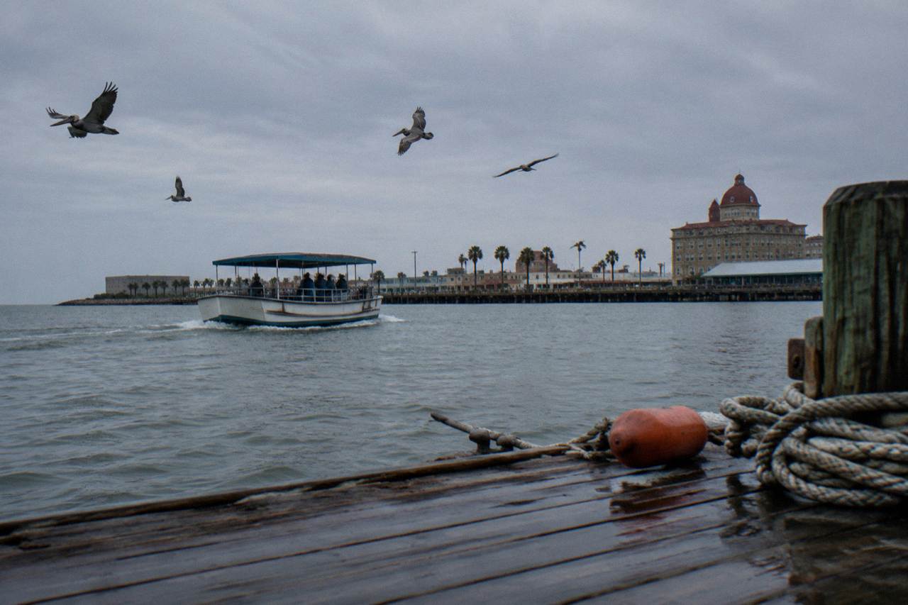 A small covered tour boat cruising Galveston Harbor near Pier 21 with pelicans overhead