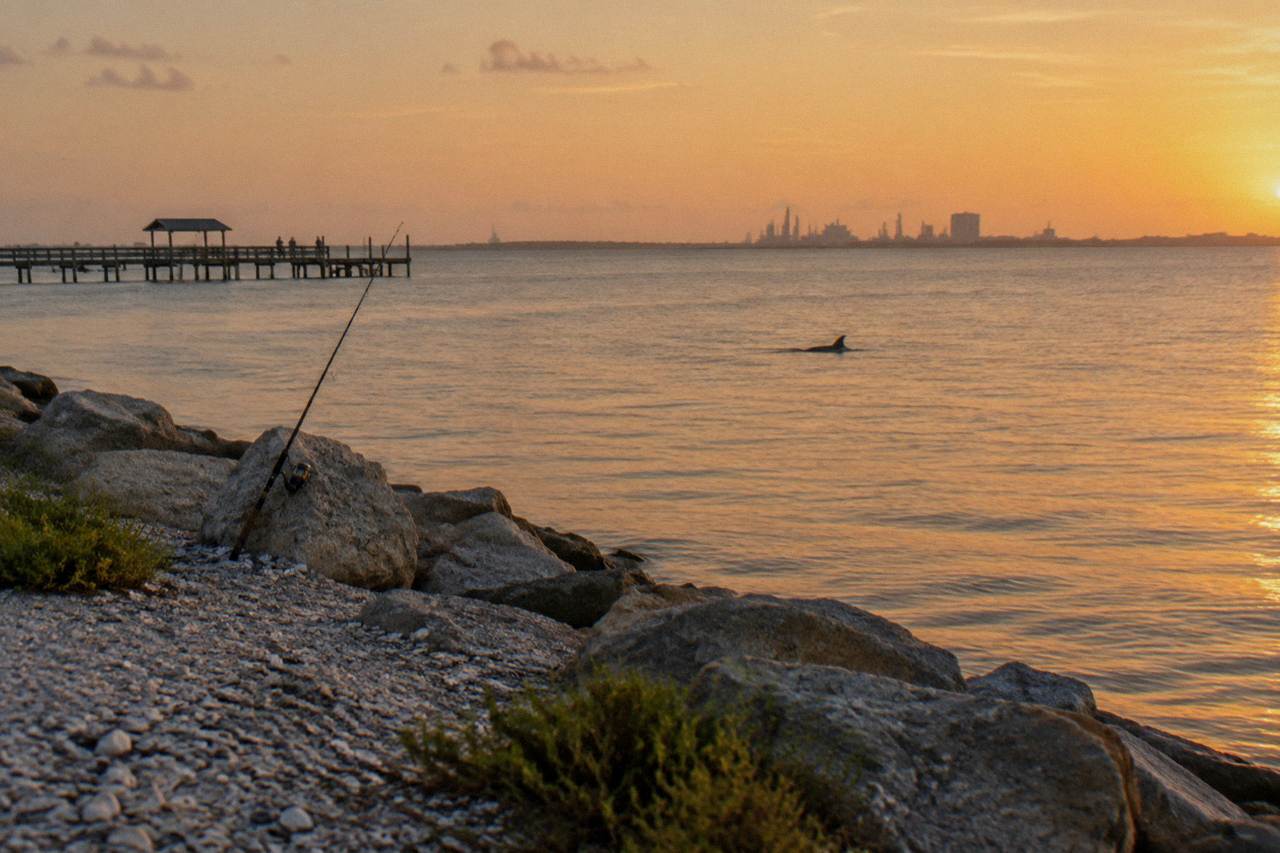 A calm Galveston harbor channel at golden hour with a dolphin dorsal fin cutting the water near a distant pier