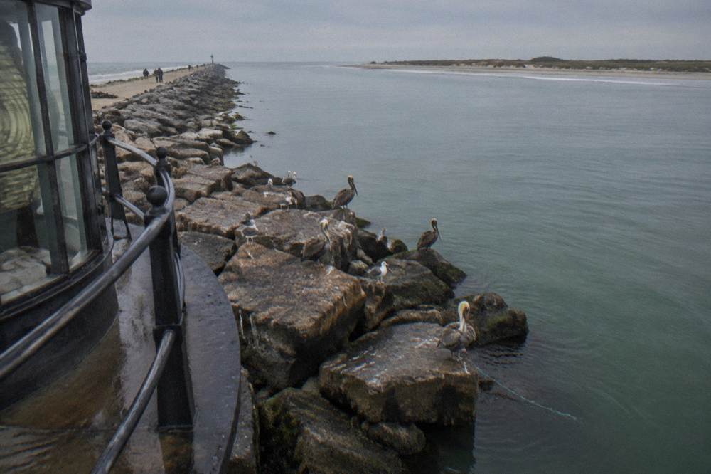 Calm bay water near a Galveston jetty with seabirds resting on rocks