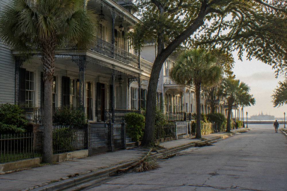 A quiet Galveston street lined with historic Victorian houses under palm trees