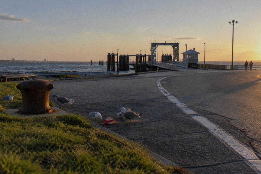 A line of cars waiting at a ferry landing in late afternoon light