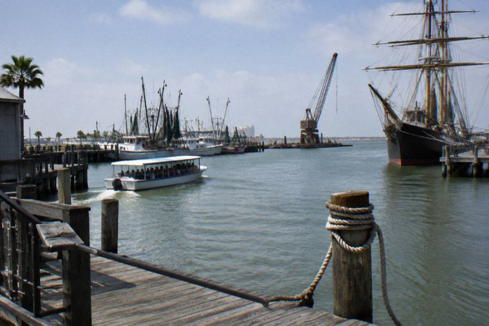 A covered dolphin watching boat cruising past moored ships in a working harbor