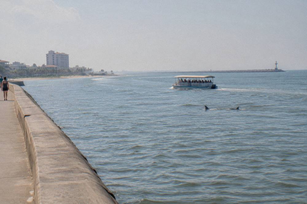 A tour boat moving slowly through a wide harbor channel with dolphins in the distance